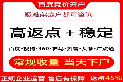 百度竞价公司运营策略：成功案例解析